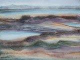 Whaling Station Bay